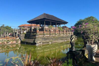 Full Day All Inclusive Besakih Holy Mother Temple Private Tour - Goa Gajah (Elephant Cave): carved symbols inside an ancient cave temple