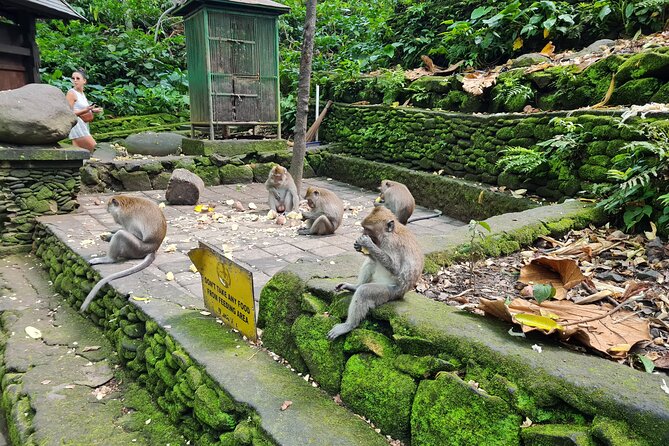 Full Day Best of Ubud Private Tour - Celuk Art Village: silver craft up close