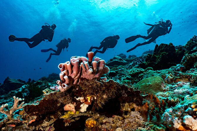 Full-Day Discover Scuba Diving Tour for Beginners in Tulamben - The USS Liberty shipwreck: the signature moment