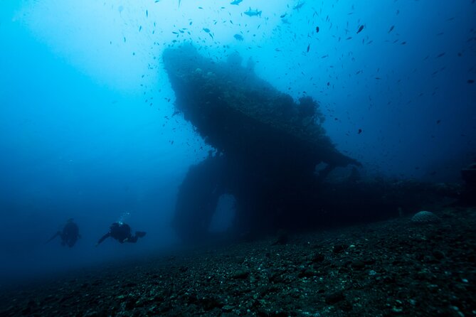 Full-Day Discover Scuba Diving Tour for Beginners in Tulamben - Price and value: is $154.95 a fair deal?
