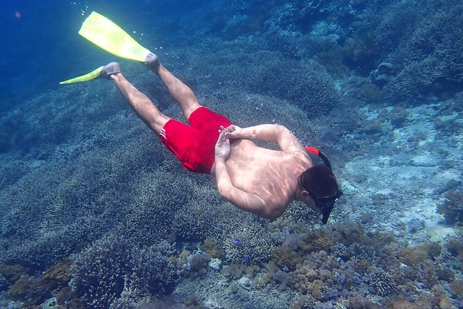 Full-Day Island-Hopping Tour from Bali - From Kuta and Ubud to Sanur: how the day starts