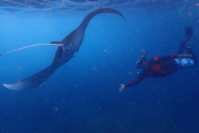 Full-Day Island-Hopping Tour from Bali - The snorkeling plan on Nusa Lembongan and Nusa Penida
