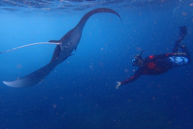 Full-Day Island-Hopping Tour from Bali - The snorkeling plan on Nusa Lembongan and Nusa Penida