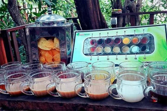 Full Day Kintamani and Penglipuran Village Private Chartered Car Tour from Bali - Price and logistics: is $65 per group good value?