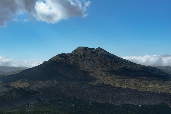 Full Day Kintamani Volcano View and Ancient Penglipuran Village - Penglipuran Village: Ancient-Style Houses in Perfect Lines