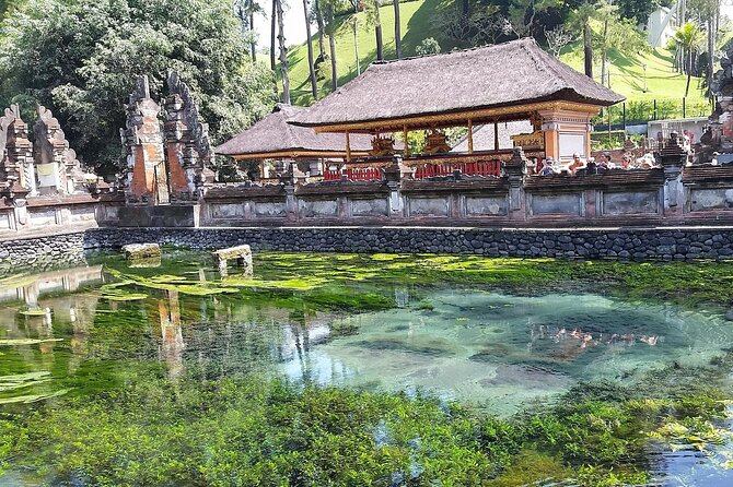 Full Day Kintamani Volcano View and Ubud Village Tour - Tegalalang rice terraces: the iconic view, with a one-hour window