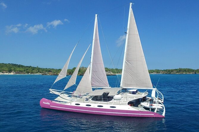 Full day Lembongan Island Catamaran Cruise with BBQ Lunch - The BBQ Lunch Break That Keeps the Day on Track