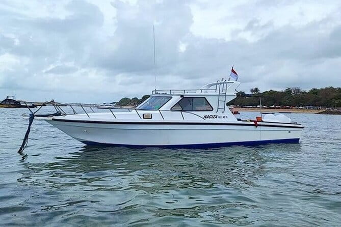 Full-Day Nusa Penida Island with Snorkeling from Bali - Why manta-ray snorkeling at Manta Point is the main event