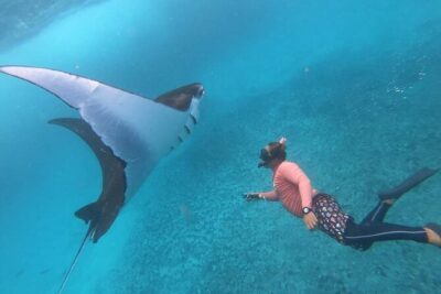 Full Day Nusa Penida Manta Point Snorkeling and West Island Tour - Manta Point Snorkeling: Your Best Shot at a Real Big-Wow Moment