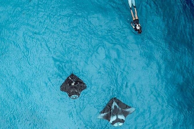 Full Day Nusa Penida Manta Point Snorkeling and West Island Tour - Who this tour fits best—and who should skip it