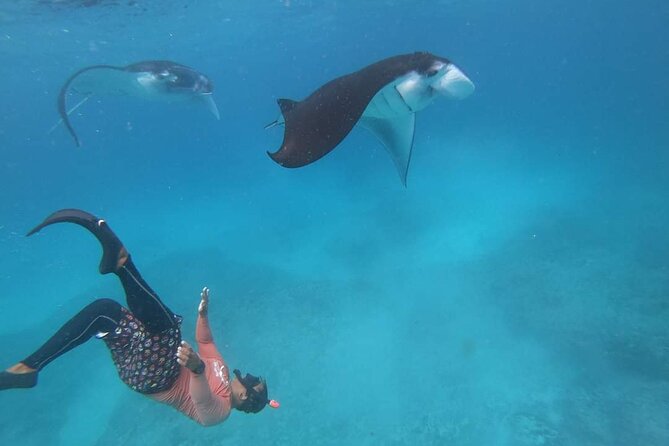 Full Day Nusa Penida Manta Point Snorkeling and West Island Tour - Should you book this Nusa Penida day?