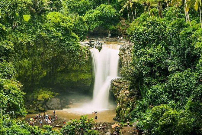 Full Day Private Guided Tour in Bali - Sacred Monkey Forest Sanctuary: what to know before you go