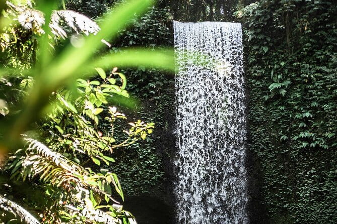 Full Day Private Tour All Inclusive Hidden Gems Bali Waterfall - Price and Logistics: When $60 Feels Like Value