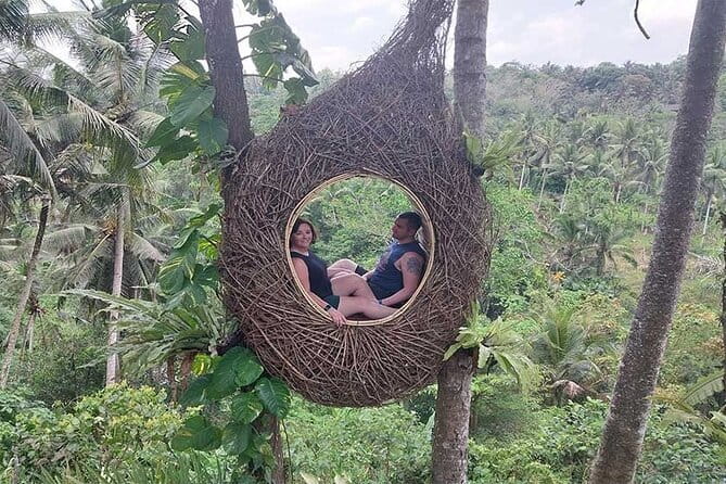 Full Day Private Tour from Tegenungan Waterfall to Tanah Lot - Tegalalang Rice Terraces: subak irrigation views and photo angles