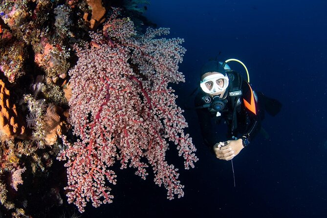 Full-Day Scuba Diving Experience of USAT Liberty in Tulamben - From 7:30 AM Pickup to the USAT Liberty Wreck Swim