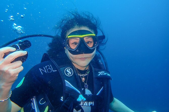 Full-Day Scuba Diving Experience of USAT Liberty in Tulamben - USAT Liberty: What You’re Going to See on the Wreck Time