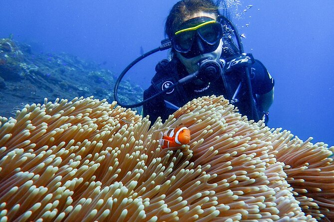 Full-Day Scuba Diving Experience of USAT Liberty in Tulamben - Safety, Gear, and How TRY vs FUN Changes Your Day