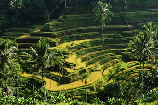 Full Day – Ubud Art Village and Mount Batur Kintamani with Lunch - Puseh Batuan Temple: Stone Carvings and the Kori Agung Gate