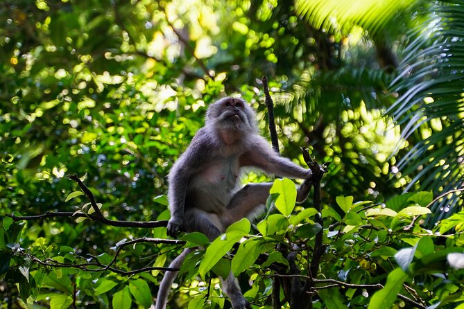 Full Day – Ubud Art Village and Mount Batur Kintamani with Lunch - Tegalalang Rice Terrace: Subak Irrigation Views That Make Sense