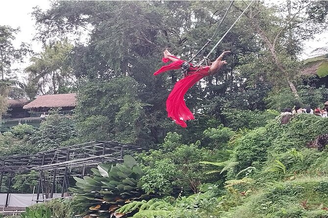 Full Day Ubud Tour - Price and What $95 Really Covers