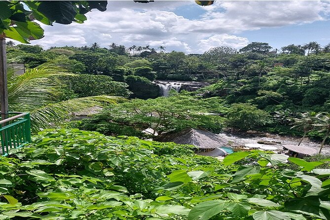 Full Day Ubud Tour - Tegalalang Rice Terrace: Subak Water Practice and Great Photo Territory