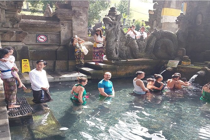 Full Day Ubud Tour - Getting Picked Up from Ubud or South Bali (8:00 am Start)