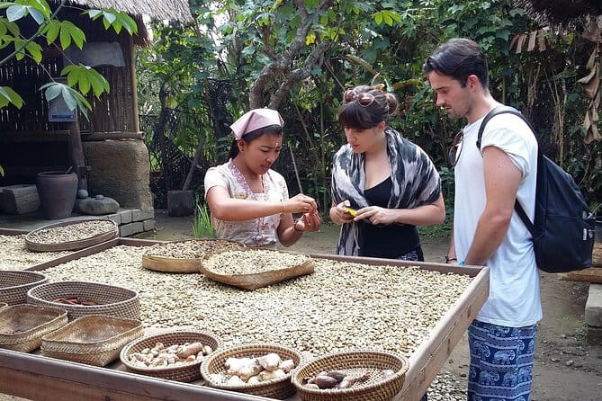 Full-Day Ubud Village including Mt Batur Tirta Empul and Sightseeing Tour - Why This Ubud Day Feels Like a Real Village Circuit
