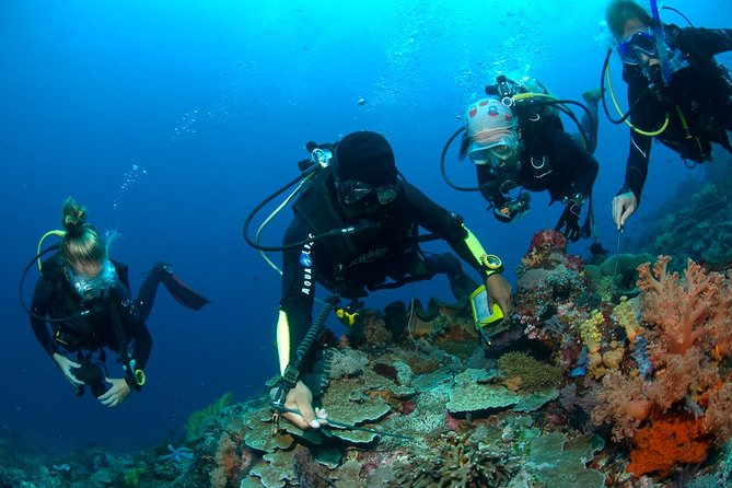 Fun Diving Tulamben Bali - For Certified Divers - Why the USAT Liberty wreck draws people to Tulamben