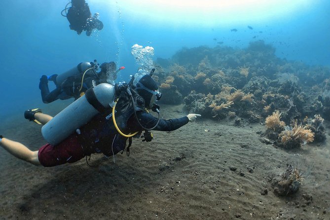Fun Diving Tulamben Bali - For Certified Divers - The day plan: pickup from Seminyak, the ride, lunch, then two sessions