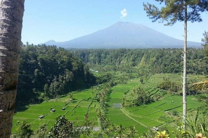 Gate Heaven Lempuyang Tirta Gangga East Bali Private Guided Tour - What’s included (and what to budget) for a smooth day
