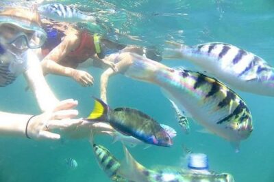 Gate Heaven Tirta Gangga With Snorkeling Private Guided Tour - Snorkeling at Blue Lagoon and Tanjung Jepun: fish, coral views, and turtle chances