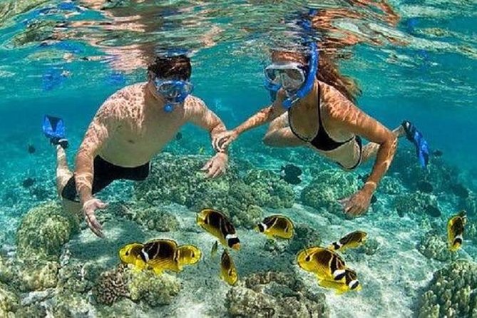 Gates of Heaven Temple and Blue Lagoon Snorkeling with All-inclusive - Snorkeling in Padangbai: Blue Lagoon plus Tanjung Jepun