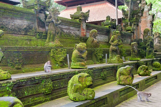 Goa Gajah / Elephant Cave Temple And Ubud Tour - All Inclusive - Ulu Petanu Waterfall: a calm hour near tropical greenery