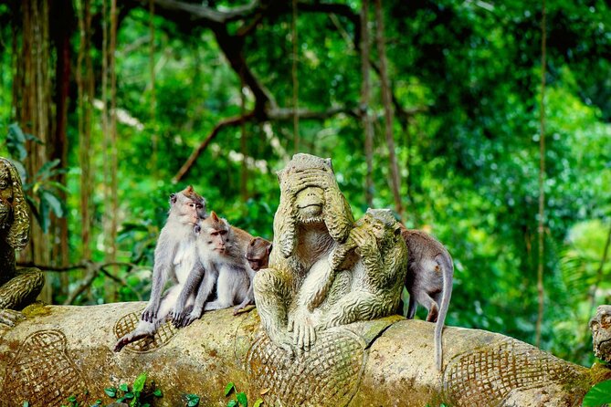 Goa Gajah / Elephant Cave Temple And Ubud Tour - All Inclusive - Entering Ubud the easy way: pickup and the 8–10 hour rhythm