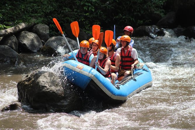 Green Bali Rafting Ticket And Transfer - Green Bali Rafting Ticket + Transfer: what you’re really buying