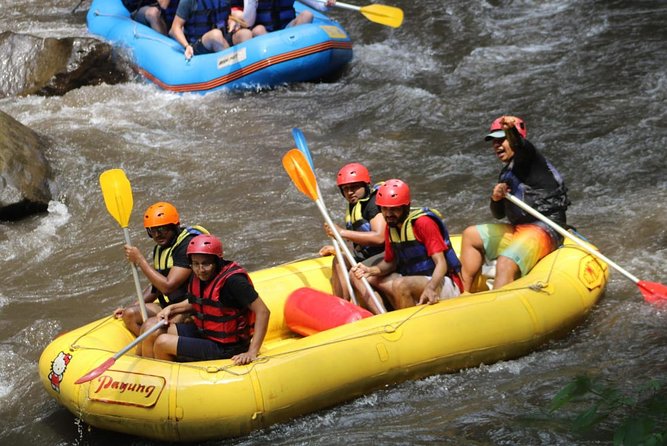 Green Bali Rafting Ticket And Transfer - Price and value: why $23.07 can work (or not)