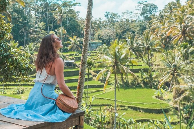 Half Day Bali Tour - Price and logistics: what the $40 actually buys you
