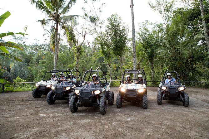 Half Day Jungle Buggies in Bali with Guide - Key Highlights Worth Marking