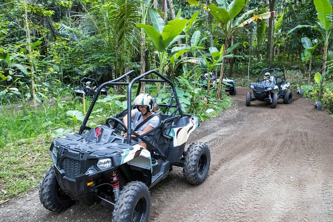 Half Day Jungle Buggies in Bali with Guide - Kuta Morning Logistics: How the Day Starts Easy