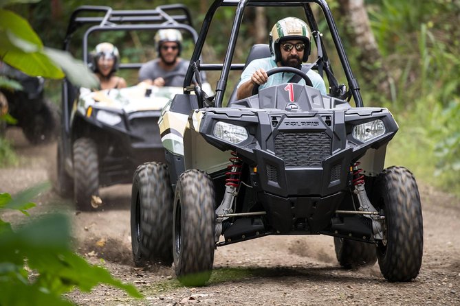 Half Day Jungle Buggies in Bali with Guide - Price and Value: Why $57 Makes Sense Here