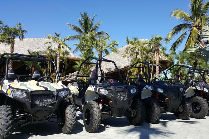 Half Day Jungle Buggies in Bali with Guide - Who This Tour Fits Best (and Who Should Skip It)