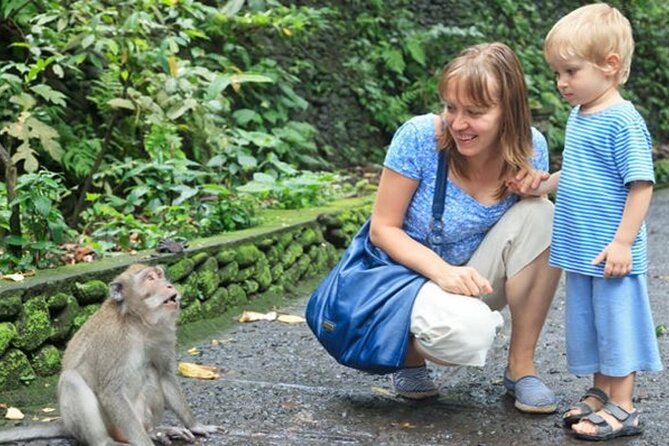Half Day Private Tour in Ubud - Pickup Across Bali: The Real Convenience You’re Buying