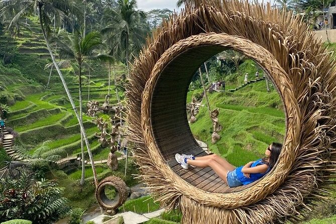 Half Day Private Tour in Ubud - The Lunch Window: What You Should Do With the 12:00 Break
