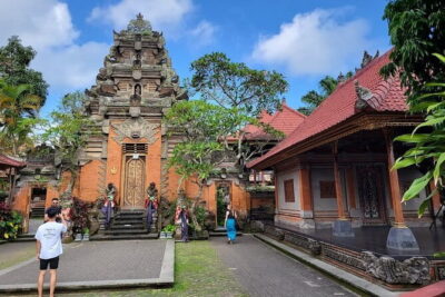 Half Day Ubud Village Private All Inclusive Tour - Ubud Monkey Forest: tame monkeys, rain-forest walking, and photo speed