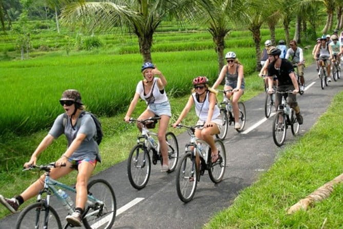Halo Bike Cycling Tour Downhill - The ride itself: 90% downhill back roads and rice field views
