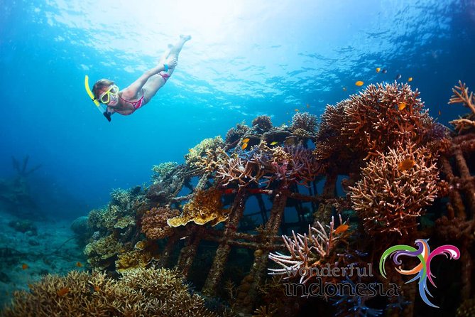 Have fun 1 day in Nusa Penida: snorkeling, kelingking & broken beach incl lunch - Key takeaways before you go