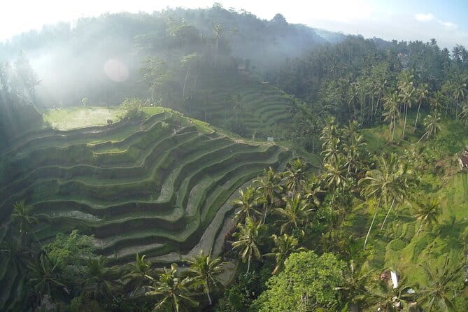 Hidden North Waterfall Bali All inclusive - Stop 3: Banyu Wana Amertha, a Multi-Tiered Jungle Waterfall