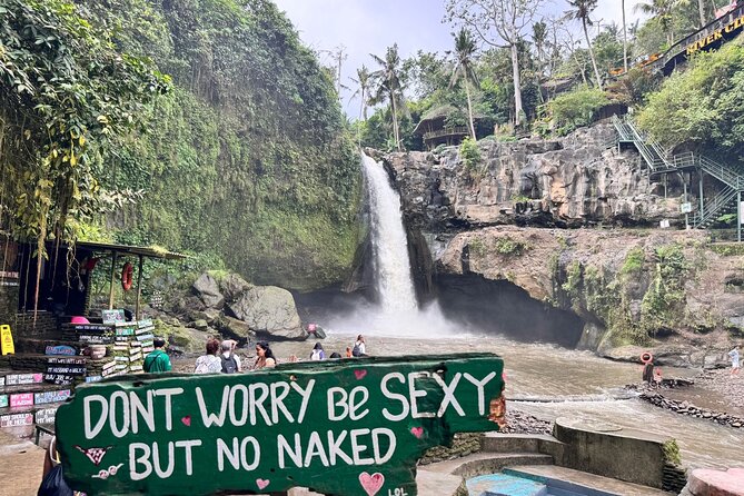 Hidden Ubud: Waterfalls & Sacred Temples - Monkey Forest, Art Village, and Lunch: Where the Day Gets More Human