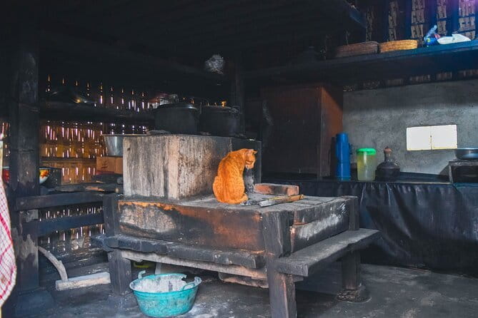 Highlight of Bali Tour - OKA Agriculture Bali: Coffee, Spices, and the Luwak Story