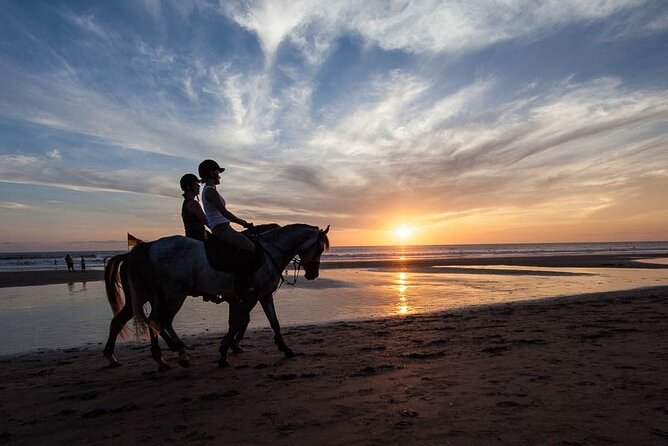 Horse Riding on the Black Sand Beach and Free Hotel Transfers - Key highlights that matter before you go